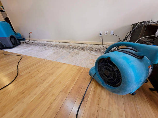 Professional Basement Flood Cleanup technician working in Culloden, WV